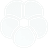 Petal XBT